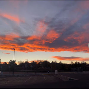 Meet your Posher, Lexi